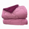 PINK/VIOLET